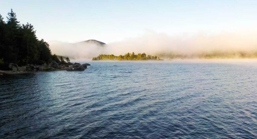 A body of water is framed by a tree-lined shore and fog. 